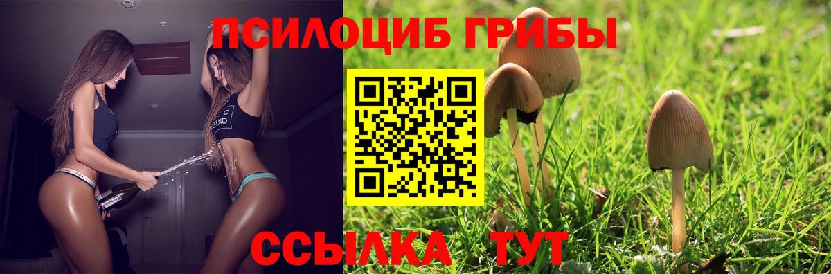Дятьково  сколько стоит  Вход с VPN  Галлюциногенные грибы Psilocybine cubensis 