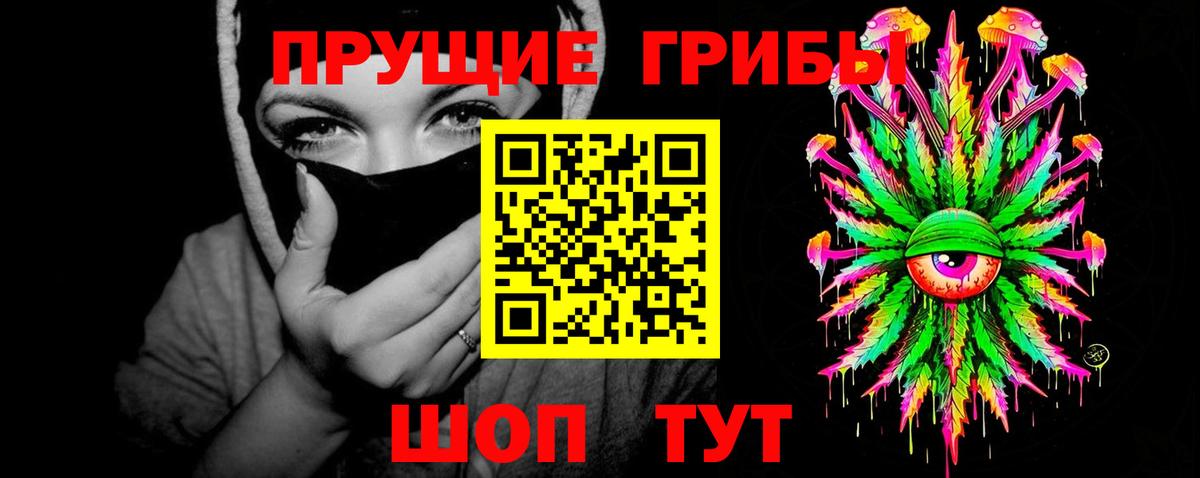 Псилоцибиновые грибы прущие грибы Дятьково